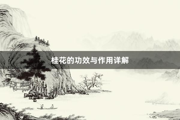 桂花的功效与作用详解