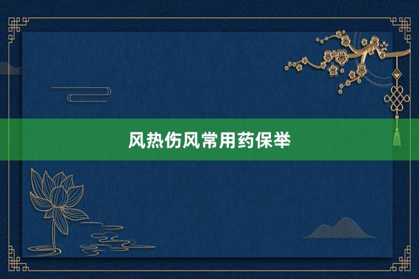 风热伤风常用药保举