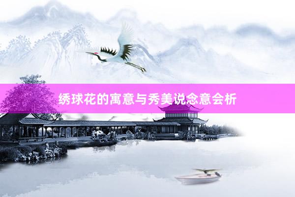 绣球花的寓意与秀美说念意会析