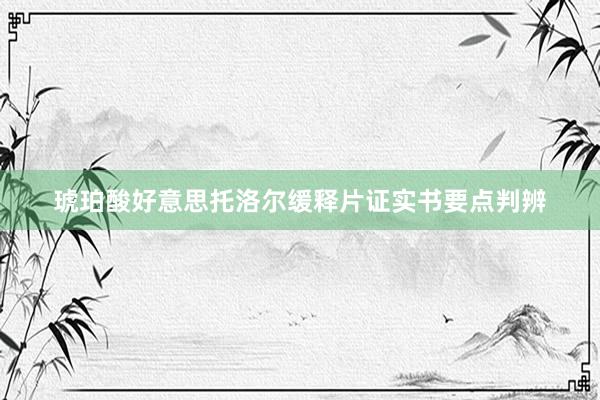琥珀酸好意思托洛尔缓释片证实书要点判辨
